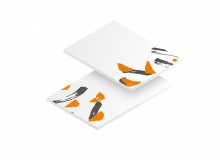 Get a free folding box sample box